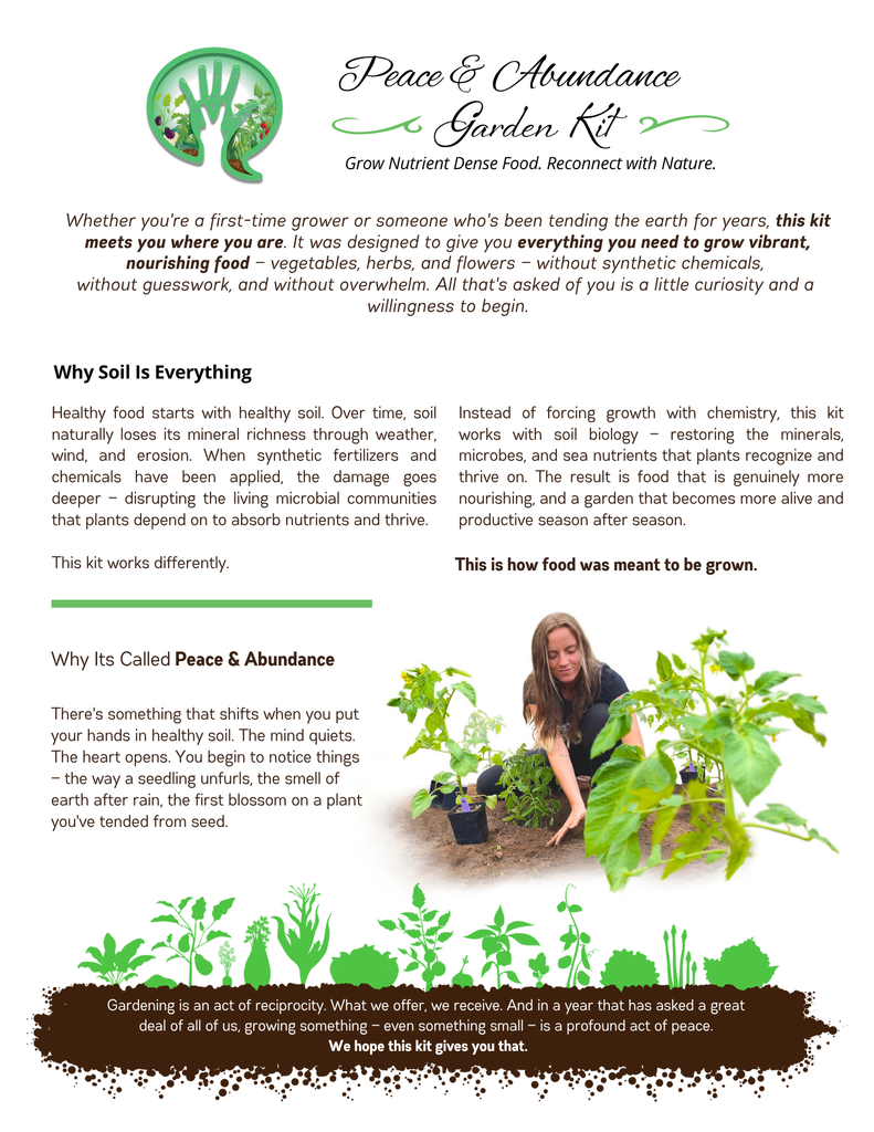 Peace & Abundance Garden Kit