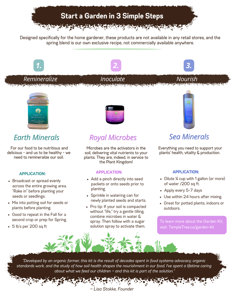 Peace & Abundance Garden Kit