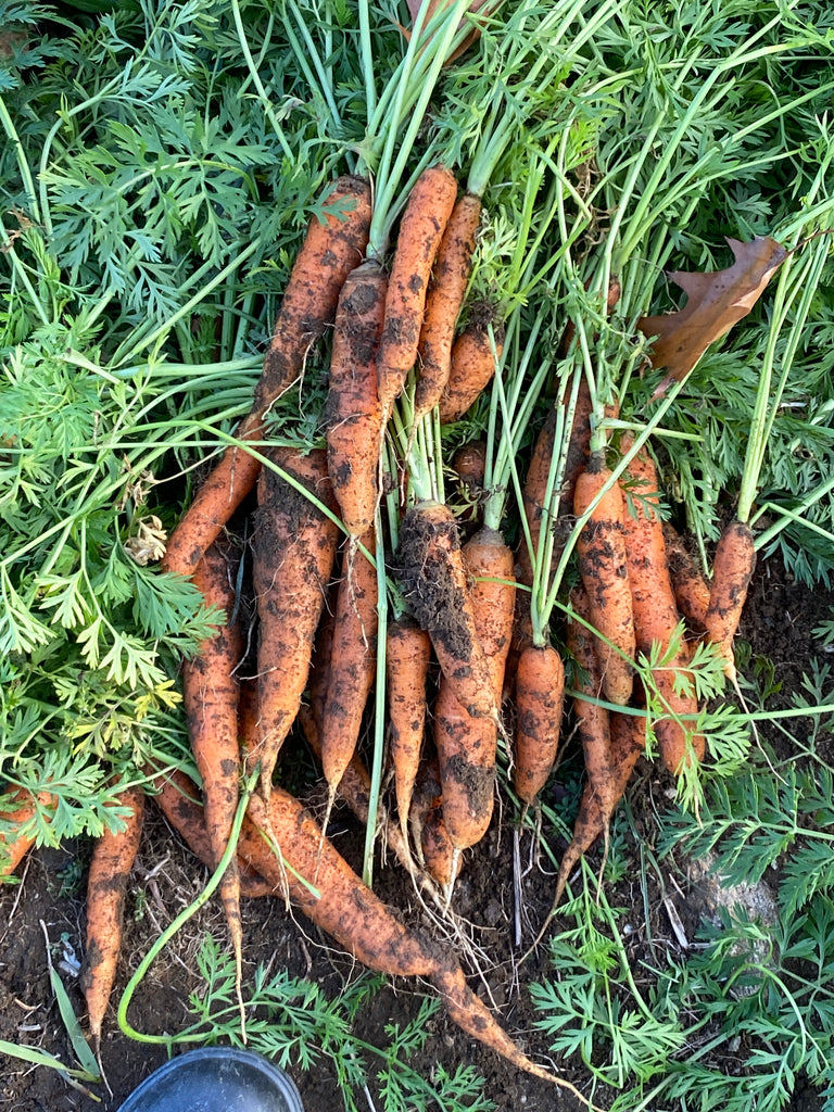 Peace & Abundance Garden Kit