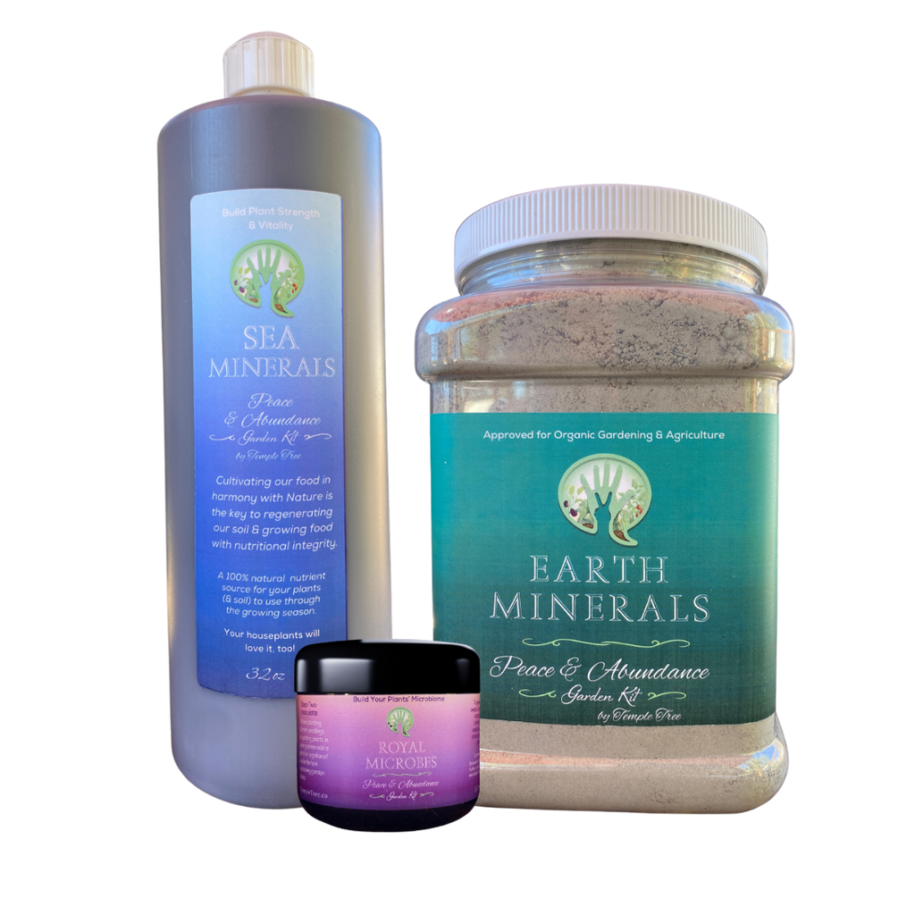 Peace & Abundance Garden Kit