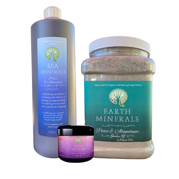 Peace & Abundance Garden Kit